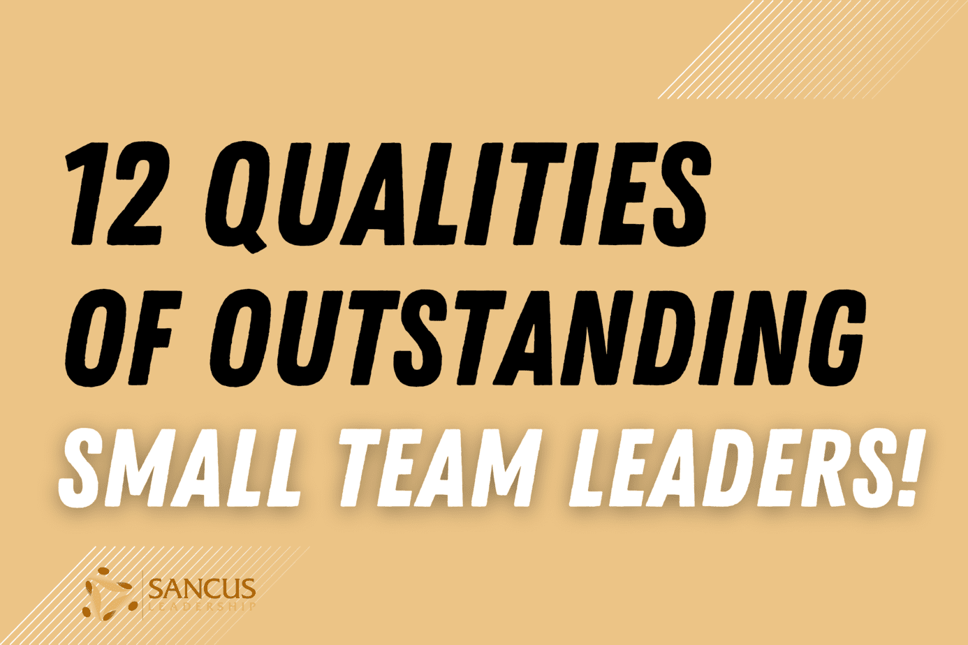 12 Shared Qualities of Outstanding Small Team Leaders!