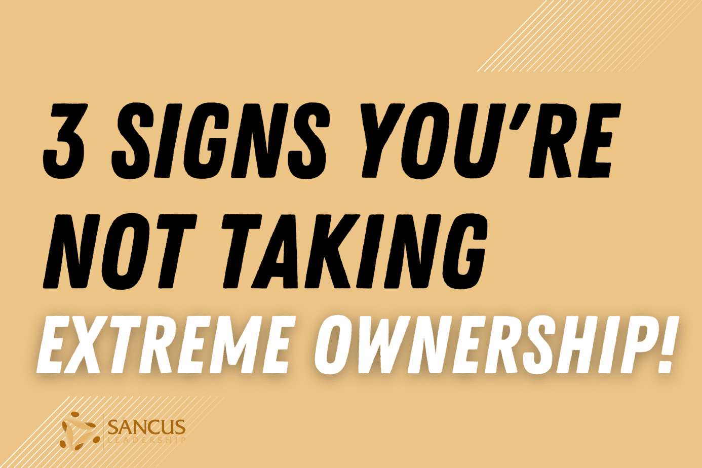 3 Signs You're Not Taking Extreme Ownership of Your Business (and Life)    