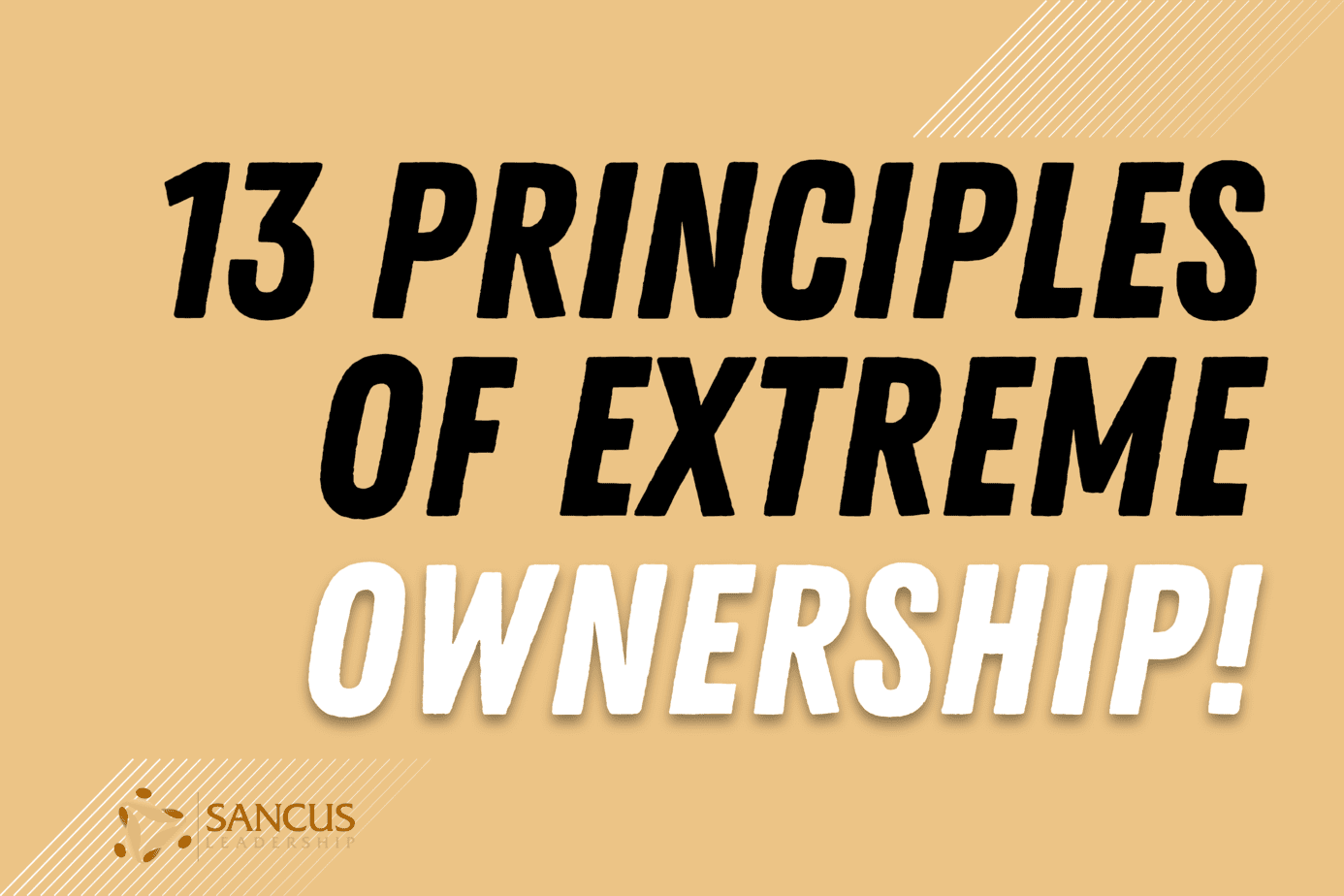 Extreme Ownership: 13 Lessons For Leaders and Managers!