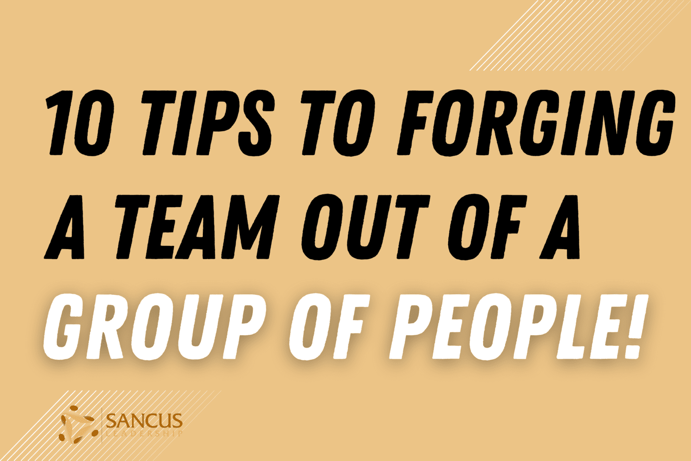 Building a Team Out of a Group of People (Team Culture)