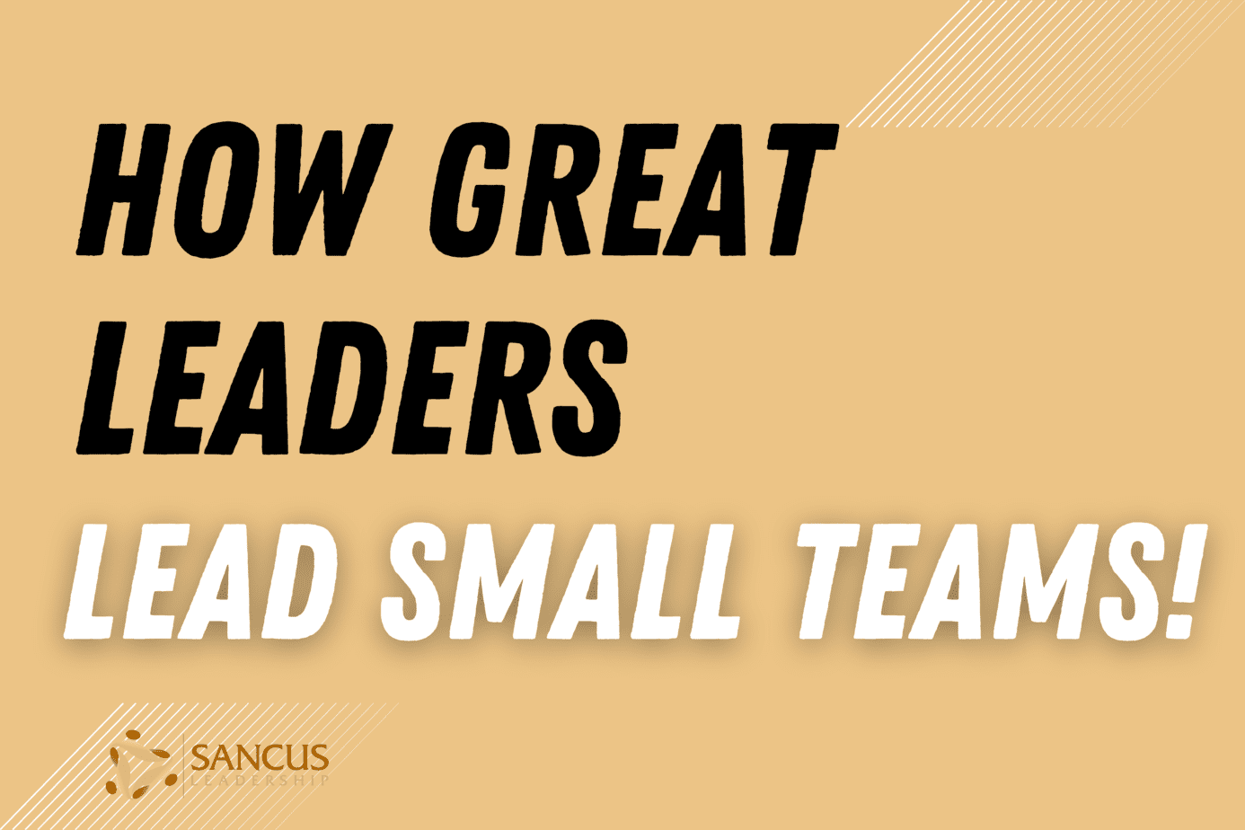 How Great Leaders ACTUALLY Lead Small Teams: Actionable Tips!