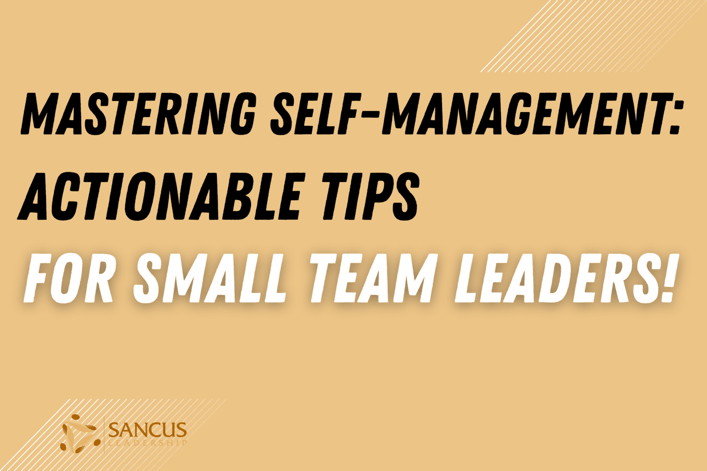 Self-Management For Small Team Leaders! (Actionable Tips)