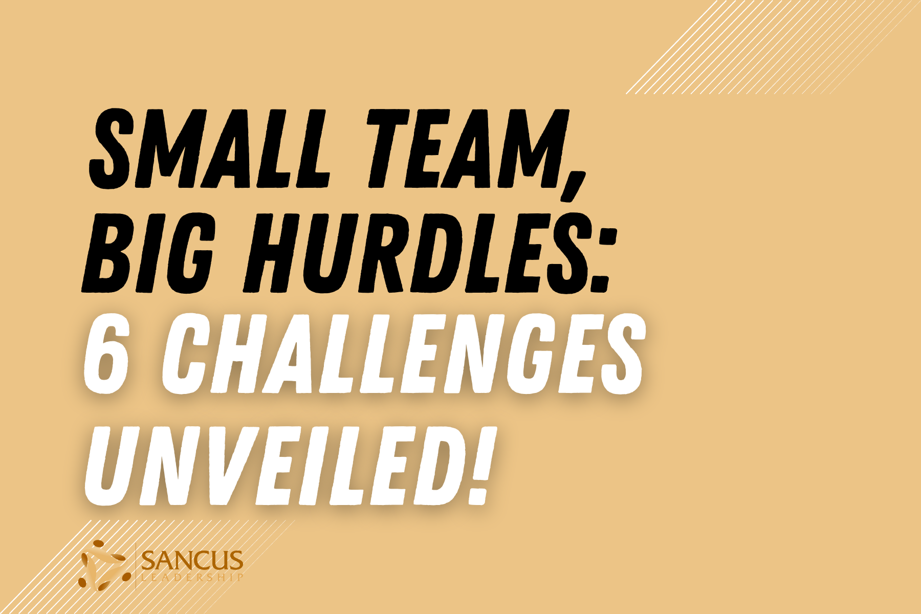 6 Challenges of Small Team Leaders