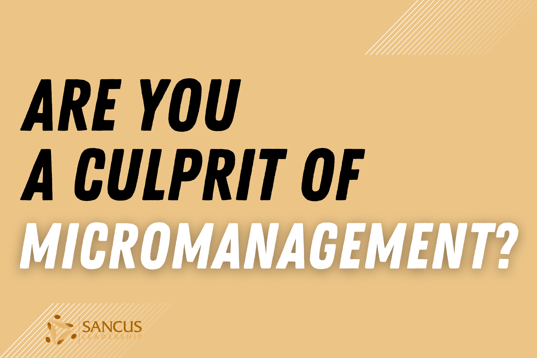 Are you mircomanaging your team?